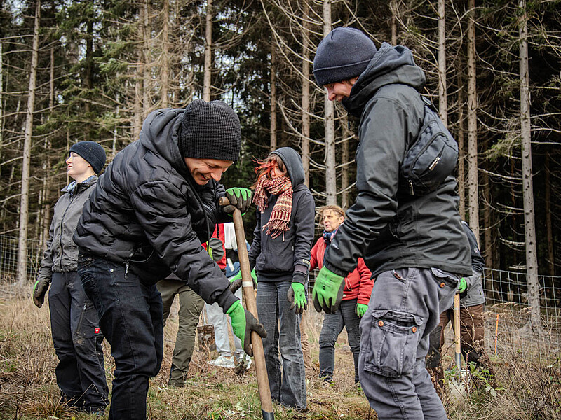 Students plant trees with shovels.